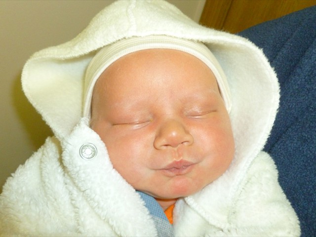 Ambrose