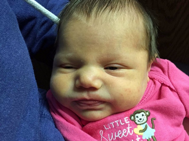 Elleigh