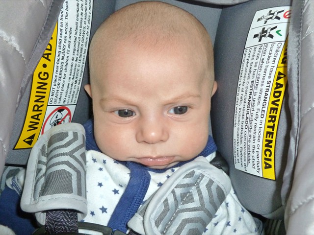 Emmett