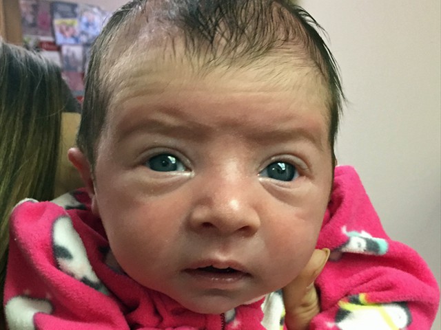 Isabel