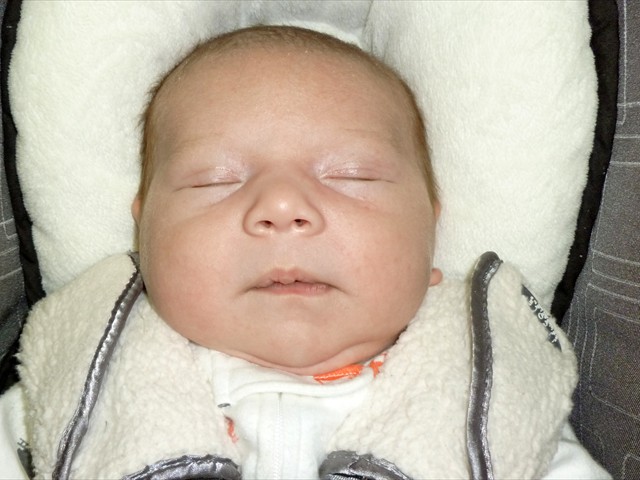 Luka