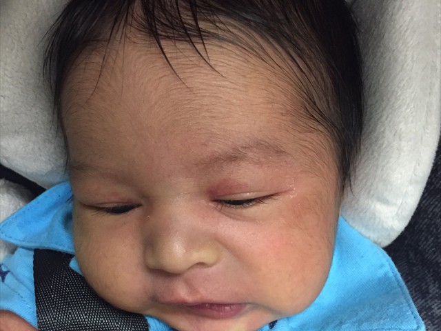 Martin Jr
