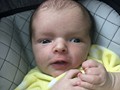 Emmett_K